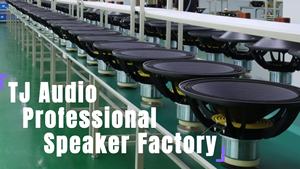 TJK3 Buena calidad Sistema de matriz de línea profesional Etapa de rendimiento al aire libre Juego de altavoces dobles de 12 pulgadas - Product Image 6