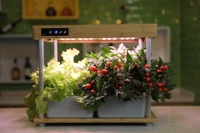 Système de culture hydroponique Avec Lumière 16 Dosettes Jardin Intelligent D'intérieur Poussent La Lumière