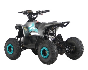Vente flash - <span class=keywords><strong>Quad</strong></span> électrique 48V <span class=keywords><strong>800W</strong></span>, moto tout-terrain <span class=keywords><strong>pas</strong></span> chère, mini ATV pour enfants et adultes avec transmission semi-automatique - Product Image 4