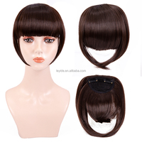 AliLeader Clip in Bangs Fringe Synthetic Fake Hair Bang Clip on Bangs with Temples for Black Women