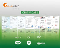 Batería de Almacenamiento de Energía para el Hogar Felicity Solaire de 15kva, ¿Cuánto Cuestan las Baterías de Litio de 48v 300ah?