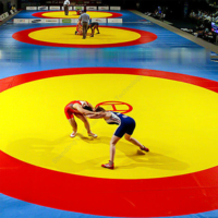 Tapis de sol en mousse XPE pliable Hydefoam avec logo personnalisé, tapis de lutte enroulable pour le judo, le tatami, la gymnastique, les arts martiaux