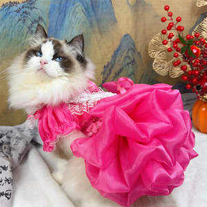 Nuevo Vestido <span class=keywords><strong>de</strong></span> Novia Rosa para <span class=keywords><strong>Mascotas</strong></span>, Traje Formal para Perros y Gatos - Product Image 6