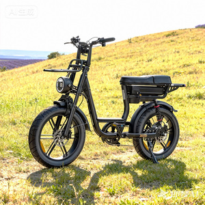 Livraison rapide Vélo électrique de ville Fatbike C28 250W Pneu gras 20*4 pouces Double suspension Vélo électrique pour adulte Tout-terrain Déplacement urbain - Product Image 1