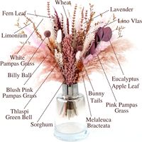 70pcs Bunga Alami Rumput Pampas Lavender Bunny Tails Kering Mengembang Rustic Dekorasi Meja Pernikahan Dalam Ruangan Buket