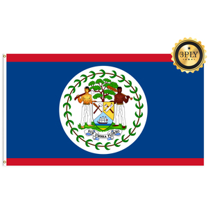 Banderines de Belize de 3x5 pies al por mayor, banderas de poliéster 100D personalizables para todas las naciones, entrega rápida de un proveedor fiable - Product Image 3