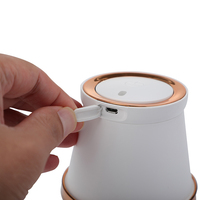 Hachoir Alimentaire Portable Rechargeable Sans Fil Mini USB, Mélangeur Électrique Multifonctionnel en Plastique de 250 ML