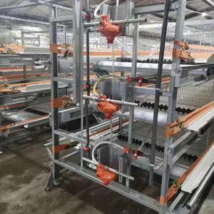 Système de cage à poulets de type H économique et durable avec alimentation entièrement automatique, élimination du fumier et contrôle environnemental - Product Image 2