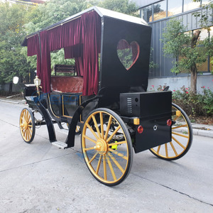 Royal Black love Limousine, Voiture à chevaux élégante pour excursions touristiques - Product Image 2