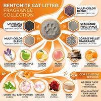 Arena para Gatos de Bentonita Natural, Venta al por Mayor de Fábrica, Control de Olores, Segura para Todos los Gatos, Biodegradable, Desechable por el Inodoro, Altamente Absorbente, a Granel, OEM