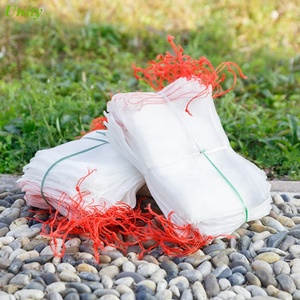 Lưới Chống Côn Trùng Túi Bảo Vệ Trái Cây Giá Côn Trùng - Product Image 1