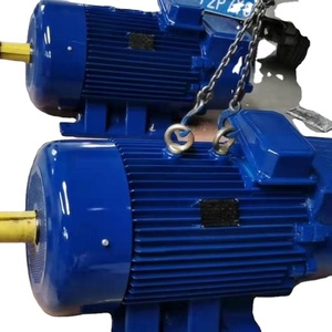 Moteur à induction triphasé 75 CV - Product Image 6