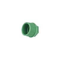 20x1/2M-32x1M Taille personnalisée en usine Série PPR Bouchon de tuyau 1/2 Nom et dimensions des tuyaux et raccords PPR