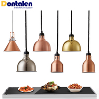 Équipement de cuisine commerciale Buffet électrique chauffe-aliments comptoir 250w chauffage infrarouge lampe chauffante