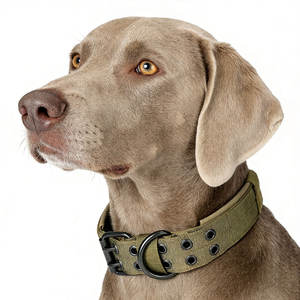 Hebilla de Metal de entrenamiento táctico de lujo, correa de perro de galgo grande de alta resistencia, <span class=keywords><strong>Collar</strong></span> grande ajustable, ancho, logotipo personalizado - Product Image 6