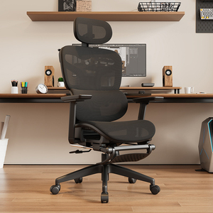 Silla de Oficina de Lujo con Diseño de Malla Transpirable, Soporte Lumbar y Estructura de Nailon para Largas Sesiones de Trabajo - Product Image 5