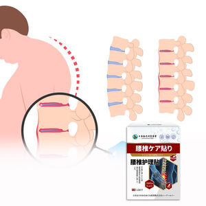 Elderberry penghilang nyeri Lumbar, pak khusus untuk nyeri akur, panas, demam, dan nyeri punggung rendah - Product Image 4