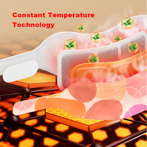 Hot Sales Chinese Plaster Halswirbel säule Hals Wermut Schmerz Taille Knie Patch zum Großhandels preis - Product Image 3