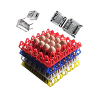 Plateau à œufs en plastique de qualité alimentaire WIN-WIN - Emballage durable et antichoc pour œufs de poule, modèle D003, pour les fermes et les fournisseurs de volaille