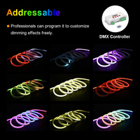 Bande lumineuse néon DMX512 professionnelle à pixels, étanche IP67 pour extérieur, avec gaine en silicone, solution linéaire architecturale pour ponts