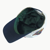 Casquette de Baseball Tendance 5 Panneaux, en Coton Sergé 100%, Broderie 3D avec Logo Personnalisé, pour Hommes et Femmes