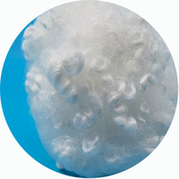 Fibre discontinue polyester recyclée blanche à faible fusion 4d 51mm