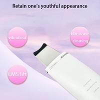 Nettoyeur de peau - Spatule anti-points noirs et anti-pores avec batterie rechargeable et 3 modèles adaptés aux hommes et aux femmes