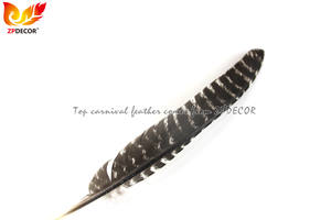 ZPDECOR Großhandel 27-30cm Wild Natural Striped Pattern Truthahn Zeiger Flügel federn für Samba Karneval Kostüme - Product Image 5