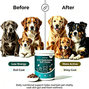Integratori Multivitaminici Personalizzati 21-in-1 per Cani, Supporto per Pelle, Pelo, Intestino e Cuore, 90 Compresse, Etichetta Privata OEM - Product Image 2