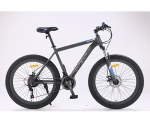 Vélo de montagne en acier à haute teneur en carbone Shimano 21 vitesses vélo de montagne adulte pas cher personnalisé de haute qualité 26/27/5/29 vente en gros