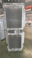 Transformador de Distribución de Energía Trifásico Sumergido en Aceite con Núcleo de Aleación Amorfa SBH25 11kV 1250kVA para la Industria