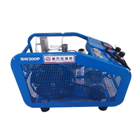Compresor de Buceo Portátil Lubricado por Pistón de Tres Etapas de Alta Caudalidad, 320 l/min
