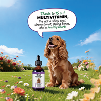 Compléments Alimentaires pour Animaux OEM, Multivitamines pour Chiens, Compléments Nutritionnels pour Animaux, Produits de Soins de Santé pour Animaux et Compléments Multivitaminés Liquides