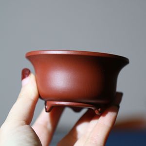 Pot à Bonsaï Miniature Zisha Fait Main Zhu Ni Da Hong Pao pour Bureau - Product Image 4