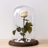 Cloche en verre avec base en bois rustique, dôme décoratif transparent pour l'exposition de plantes, de curiosités, de souvenirs et d'objets de famille