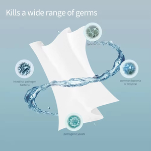 Toallitas antibacterianas <span class=keywords><strong>Amonio</strong></span> Cuaternario Tejidos antisépticos Toallitas desinfectantes Bolsas Toallitas desinfectantes para manos sin Alacohol - Product Image 2