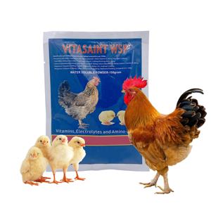 Suppléments vitamines et électrolytes rappel d'œufs pondeuses volaille poulet - Product Image 3