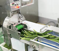 Pandanbladeren Groente Fruit Bellenwasmachine Snijmachine en Sapblender