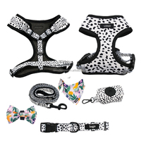 Conjunto de Arnés de Lujo para Perro con Logotipo Personalizado, Chaleco, Collar, Correa, Corbatín y Pañuelo - Poliéster y Neopreno Duraderos