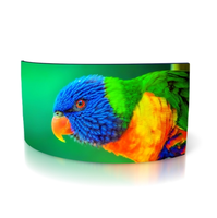 Écran incurvé 55/77 pouces, affiche numérique OLED flexible, 400 cd/m², anti-reflet, Full HD, écran tactile, grand format, vidéo publicitaire