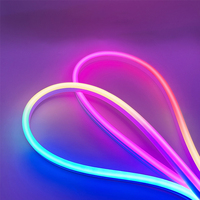 Bande Néon Flexible en Silicone à Synchronisation Musicale et Commande Vocale, Bande LED RGB Adressable RGBIC Intelligente Wi-Fi