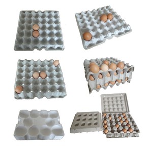 Máquina de Moldeo de Pulpa para Empaquetado de Fábrica Zengtuo - Alta Eficiencia y Ahorro de Energía, Precio Económico, 4000-6000 piezas/hora - Product Image 6