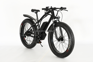 DISIYUAN vente en gros <span class=keywords><strong>meilleur</strong></span> hors route 26 pouces gros pédale électronique électrique assistance Cross Trek vélo 500w 1000w vélo de Chine - Product Image 2