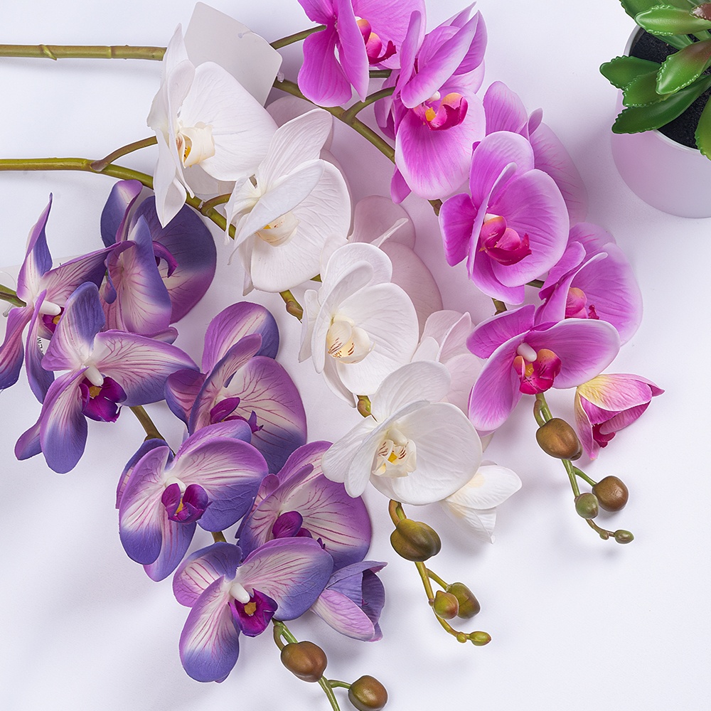 Vraie orchidée de papillon de fleur artificielle d'orchidée de papillon de Latex de contact naturel fausse orchidée pour les fleurs décoratives