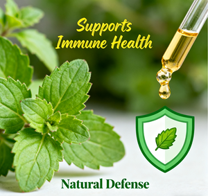 Tetesan cairan Oregano Minyak organik label pribadi 70% tetesan Herbal kesehatan usus antioksidan dukungan kekebalan tubuh karvacrol untuk dewasa - Product Image 6