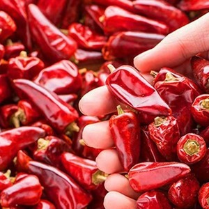 Piments séchés de qualité supérieure, poilssons bien formés, saveur fortement épicée, belle coloration, pour <span class=keywords><strong>la</strong></span> restauration commerciale - Product Image 3