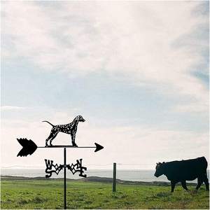 Pabrik Cina dekorasi hewan taman luar ruangan anjing besi antik pengukuran arah angin instrumen pengukur cuaca logam baling-baling - Product Image 5