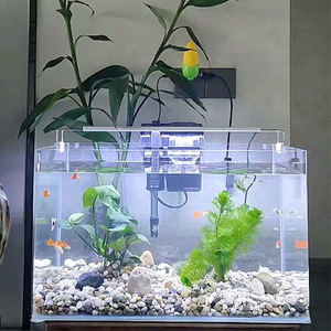 Acuario Rectangular de Vidrio Lida, Moderno y Transparente, para Peces Dorados, Diseño Ecológico, Tanque Individual - Product Image 3