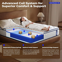 Matelas de Lit de Luxe pour Hôtel 5 Étoiles Taille Simple à Ressorts Ensachés en Latex, Convertible pour Chambre à Coucher