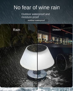 Offre Spéciale Lampe de table à LED de haute qualité rechargeable pour l'extérieur, le jardin et le patio. - Product Image 2